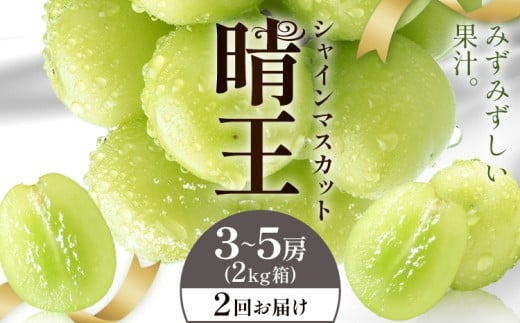 yRszy2026Ns\zVC}XJbg  2񂨓͂ 3-5[(2kg) VC }XJbgs2026N9{-10{oח\t T(RsX(xmH