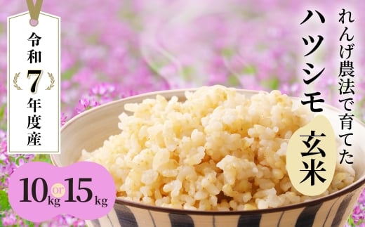 y򕌌_szā_11̂ꂽā^ߘa7NY V Iׂ 10`15kg  Pꌴ  ncV 򕌔Žւ 񂰈炿̃ncV RVqJ̐y  V ͂  