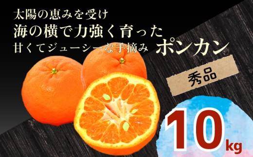 ym{szGi y |J 10kg z t 2026N1{菇 a|J  p Mtg k  ݂ t[c ʕ  Ԍ Gߌ YN014