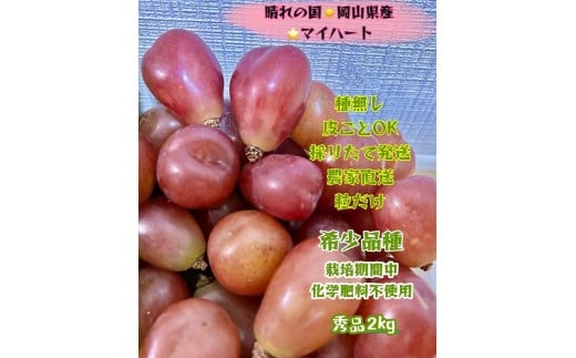 yRRszԂǂ 2026N  }Cn[g Gi  2kg R Y ʕ t[c  2026N8{甭