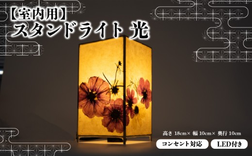 yꌧ쒬zyz ʔb̉ԓ TCY X^hCg p CeA Ɩ   v a X^h Cg   ꌧ 쒬