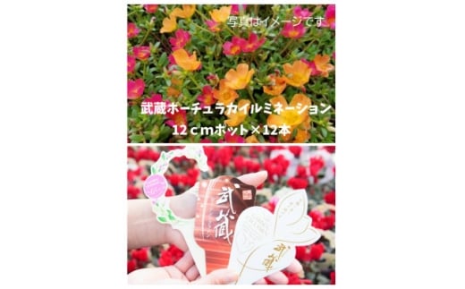 yRsz|[`J@12|bgy1625256z