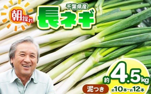 ytNÎszy D z lM 4.5kg i10`12{j _iw엿jF͔|Ԓsgp | ؃AEt@[ ˂ Dt lM lM ˂  Y VN lߍ킹 Yn