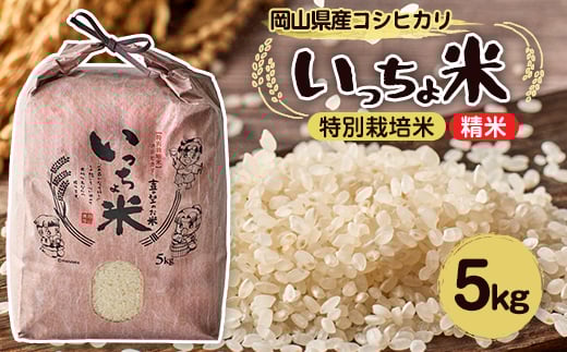 yRszRVqJ@(5kg×1)y1536092z