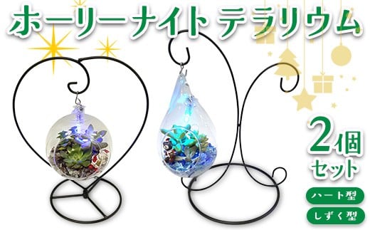 y򕌌szz[[iCgeE2Zbgin[g^A^j 2025N12{`12{ɏ\