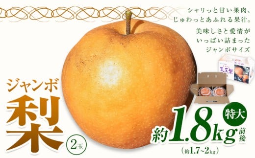 yF{rszy2026Ns\z  Ȃ p rW{i V j2ʓ 1.8kgO H { F{ rsY ʎs2026N10{-10{oׁtt[c ʕ Mtg 