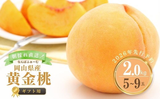 yR쒬zy2026Ns\zmȂ΂ӂ[ށnRY  2.0kgi5?9ʁj[Mtgp]