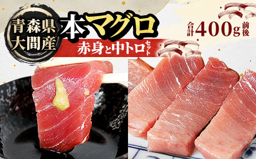 yXzԎY{}O ԐgƒgZbg e200gO(v400gO)y1657765z