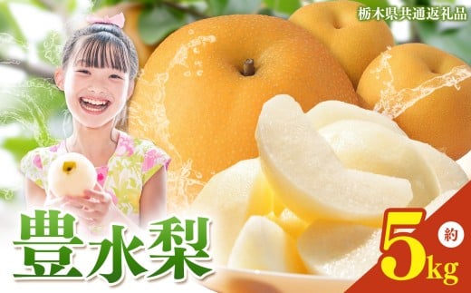 yȖ،^szȖ،Y  L 5kg y2026Ns\z| ق Ȃ iV n ʕ t[c v[g J    W[V[   Ȗ،Y Ȗ، ^