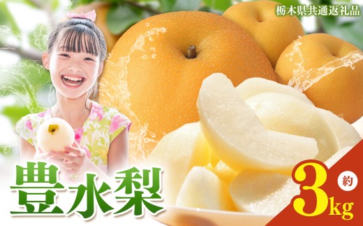 yȖ،^szȖ،Y  L 3kg y2026Ns\z| ق Ȃ iV n ʕ t[c v[g J    W[V[   Ȗ،Y Ȗ، ^