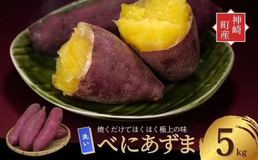 yt_蒬z_ĂVՂ܂I^_蒬Yׂɂ  ܂ 5kgbzNzNÂ\^Cvi9E10E1`5ɏj [016-a004]