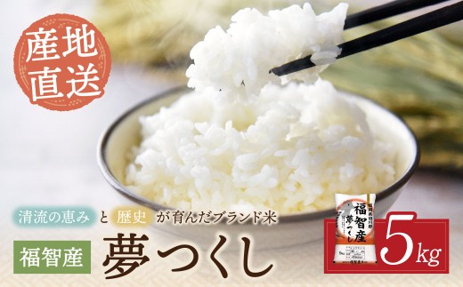 yqzW39-01 qYuh(5kg)     R uh  lC   ߂ Y Hi  