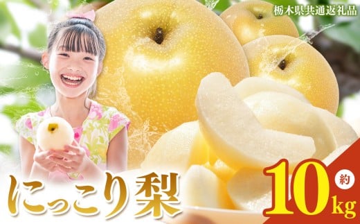 yȖ،^szȖ،Y  ɂ 10kg y2026Ns\z| jbR Ȃ iV n ʕ t[c v[g J    W[V[   Ȗ،Y Ȗ،