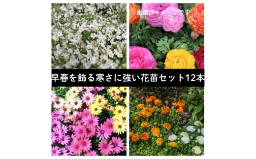 yRsztԕcZbg312|bgy1625231z