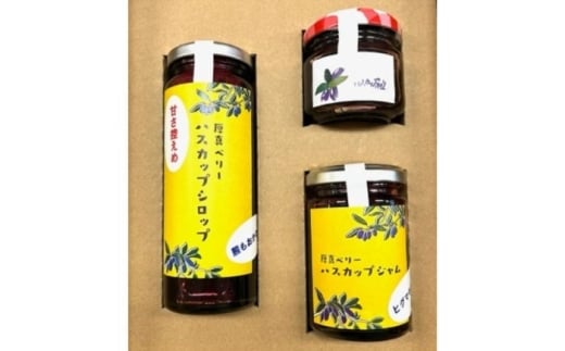 ykC^znXJbvVbvEEW eP{ZbgyВmFz [AXBN008]