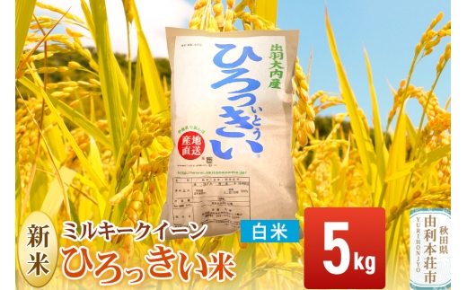 yHcR{szyāz HcY ~L[NC[ 5kg  ߘa7NY Ђ