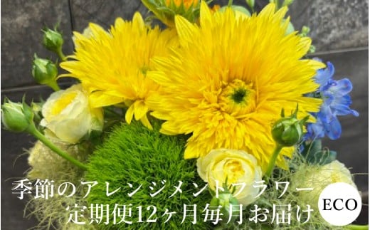 yꌧÎszG߂̃AWgt[  Special 12͂[FI005] /   ԑ G   LO Mtg v[g j  12 12