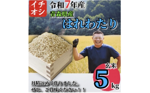 yX\acszߘa7NYXY ͂킽  5kgy1684625z