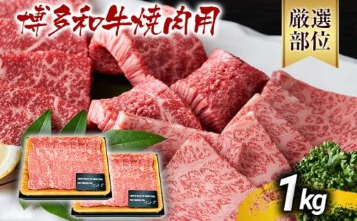 yؒzys\zaēp 1kg јa 񂹃O  yY B yY  O MEAT PLUS CP020er