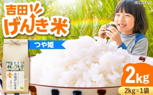 y_szāyVāzgc񂫕ĂP 2kg bЂ     ͂܂  CX  R 2L g₷ ͂  ɂ ٓ ͂ ֗ H