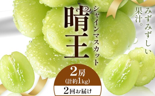 yRszy2026Ns\zVC}XJbg  2񂨓͂ 2[(v1kg) VC }XJbgs2026N9{-10{oח\t T(RsX(xm