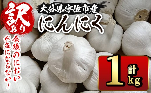 y啪Fsz󂠂EsĤɂCɂȂȂjjN(v1kg) ɂɂ jjN ؁y116600200zyVCYhAOz