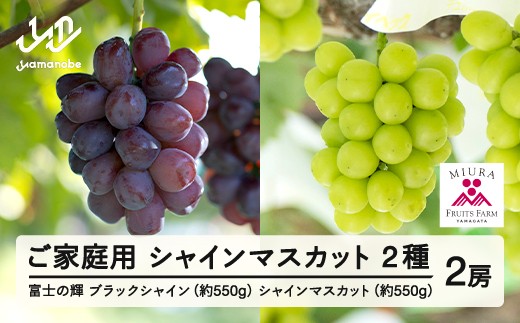 yR`RӒzyӂ邳Ɣ[Łzs\ Ԃǂ xm̋P 550g VC}XJbg 550g Zbg ƒp ߘa8NY 2026NY R`RӒY ubNVC}XJbg t[c 