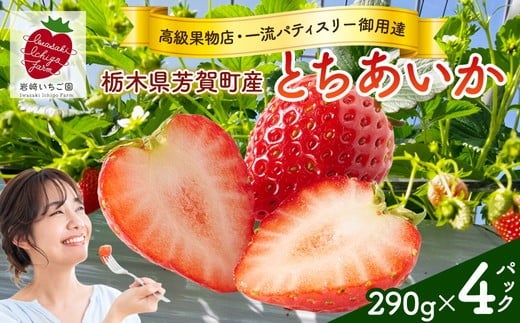 yȖ،F꒬zys\zȖ،F꒬Y Ƃ290g(7`12)×4gC | ʕ t[c   C`S Ƃ uh Ԍ Gߌ { Y2026N1{`4