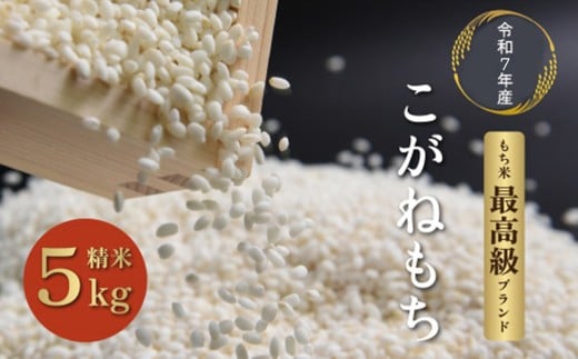 y쑽szߘa7NxYÊ쑽Y˂5kg×1܁@y07208-0351z