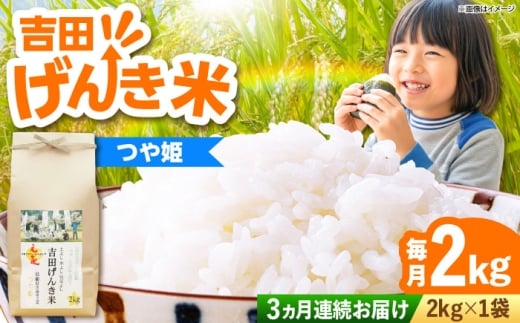 y_szāyS3ցzyVāzgc񂫕ĂP 2kg bЂ     ͂܂  CX  R 2L g₷ ͂  ɂ ٓ 