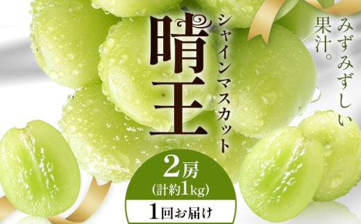 yRszy2026Ns\zVC}XJbg  1񂨓͂ 2[(v1kg) VC }XJbgs2026N9{-10{oח\t T(RsX(xm