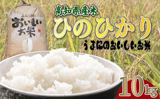 ymzyӂ邳Ɣ[Łzߘa7NxY  10kg Ђ̂Ђ  10L  Y  qmqJ C䂩̗ ܂ɂ   ӂ邳Ɣ[ŕ ӂ邳Ɣ[ł 2025