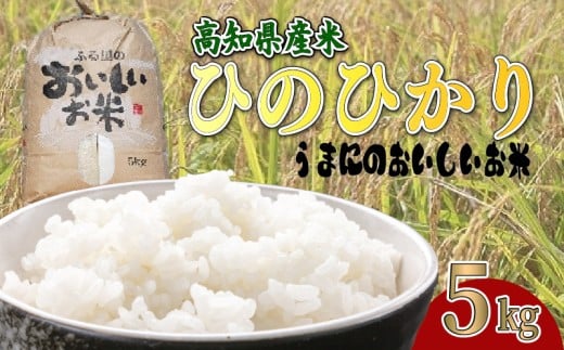 ymzy ߘa7NxY z  5kg Ђ̂Ђ  5L  Y  qmqJ C䂩̗ ܂ɂ   ӂ邳Ɣ[ŕ ӂ邳Ɣ[ł 2025NY ʌ