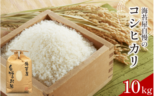 ygsz RVqJ 10kg ߘa7NY   Cۉ̕  ͂ ɂ  Hi ~ ~ ۑ h Mtg  v[g  O   g