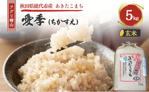 yHc\szߘa7NY V AOwR G()  5kg  ܂     R ͂  嗱 ߘa7N  Hc Hc \s