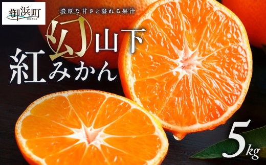 みかんの気持ち様御購入品 みかんの雫 | オイシイガマゴオリ