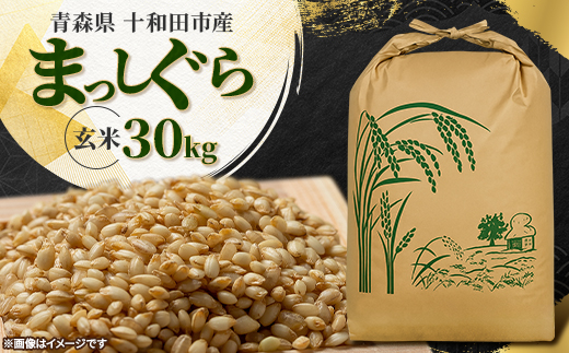 令和7年産＞青森県産まっしぐら30kg(玄米)【1664256】 - 青森県十和田 