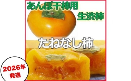 ya̎R炬za`˖ ۊ`p T} 14.5`15kg@60`90y2026N10{`11{돇zyART15z