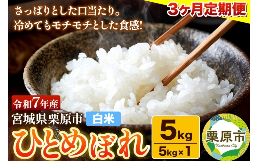 y{錧IszԌ yāzs3tߘa7NY {錧IY ЂƂ߂ڂ 5kgi5kg×1܁j×3 ς `` ɂ ٓ