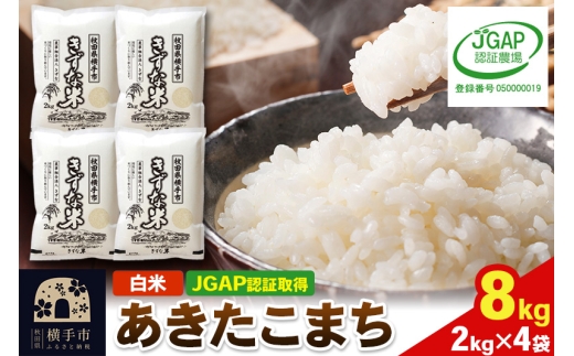 yHcszyāzߘa7NY HcY ܂ 8kg(2kg×4) yJGAPF؁zyHcʍ͔|_YF؁z