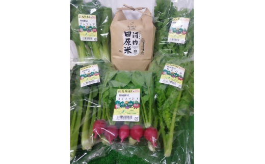 y{lszlYEY()3`5iڂƂ2kg̋lߍ킹y1052609z