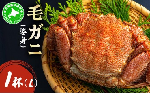 ykCɒBszуKjipgjLTCY 1 ogm-017