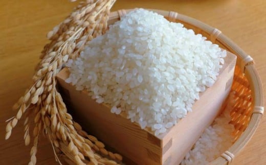 y茧ێszC330@R͔|āuЂ̂Ђv5kg