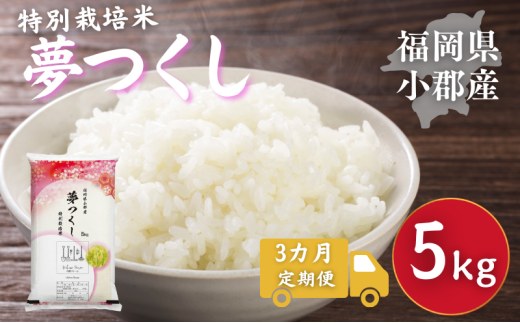 ySsz 3 ʍ͔|  SY  5kg   3