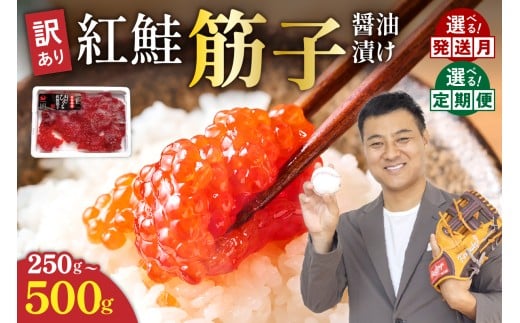 ykCGszIׂʁqIׂ锭r󂠂 g؎qݖ  250g`500g (250g×2jY ЂƂJbg   CN  ɂ̋  Mtg lC Gs R002-0