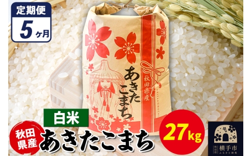 yHcszs5t܂ 27kg×1܁yāzߘa7NY HcY ܂C