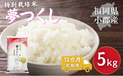 ySsz 12 ʍ͔|  SY  5kg   12