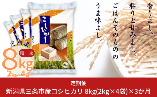 yVOsz[8kg×3] RVqJ VOsY Ђ v24kg ߘa7NY 3i3jAł͂ Ă̒     [ORqYX]y035S014z