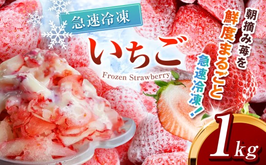 yȖ،^szⓀ Ƃ 1kg Jbgς |  󂠂 2026N Ƃ  C`S E Ⓚ W JNe X[W[ t[c  VN { Ȗ، ^s 