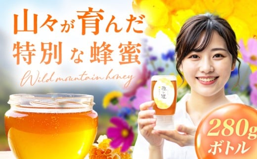 yL쒬zR݂ 1{i280gj@L쒬 / ЋBI̎q{ [AFAI042]